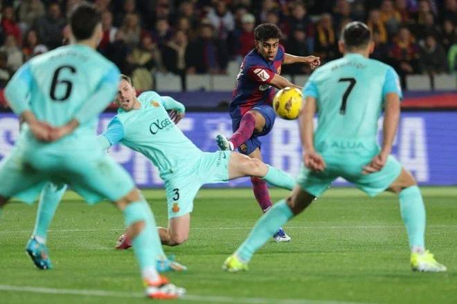 2025赛季足协杯现场观众总人数为505278人次，场均8020人